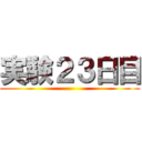 実験２３日目 ()