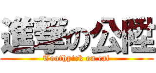 進撃の公陞 (Toothpick on cat)