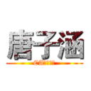 唐子涵 (CA逸天生成)