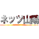 ネッツ山陽 (ｎｅｌｔｕｔｕｓａｎｎｙｏｕ)