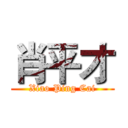 肖平才 (Xiao Ping Cai)