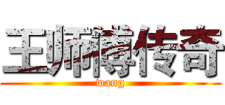 王师傅传奇 (wang)