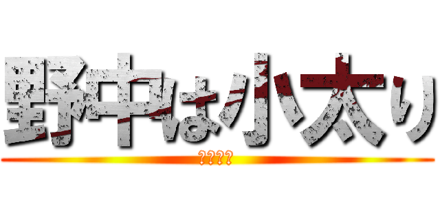 野中は小太り (田中以上)