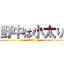 野中は小太り (田中以上)