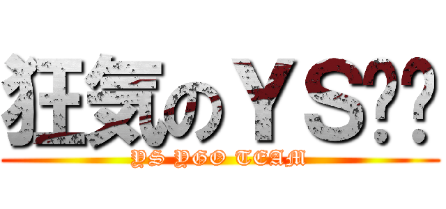 狂気のＹＳ战队 (YS YGO TEAM)