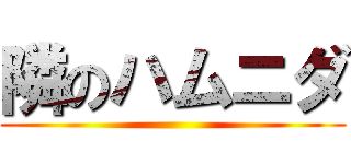 隣のハムニダ ()