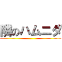 隣のハムニダ ()