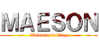 ＭＡＥＳＯＮ (Welcome to blog)