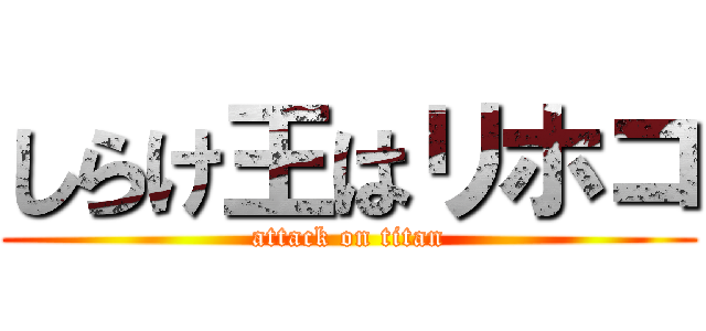 しらけ王はリホコ (attack on titan)