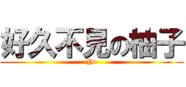 好久不見の柚子 (Yo)