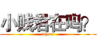 小贱君在吗？ (where)