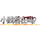 小贱君在吗？ (where)