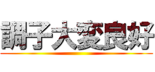 調子大変良好 ()