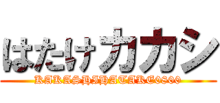 はたけカカシ (KAKASHIHATAKE0800)