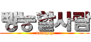 빵눙할사람 (usisgay)