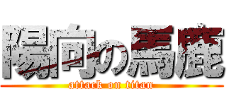 陽向の馬鹿 (attack on titan)