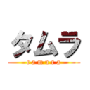 タムラ (t a m u r a)