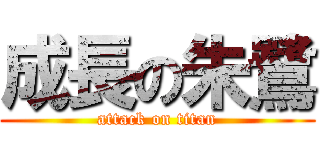 成長の朱鷺 (attack on titan)