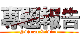 專題報告 (Special Report)