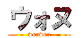 ウォヌ (wonwoo)