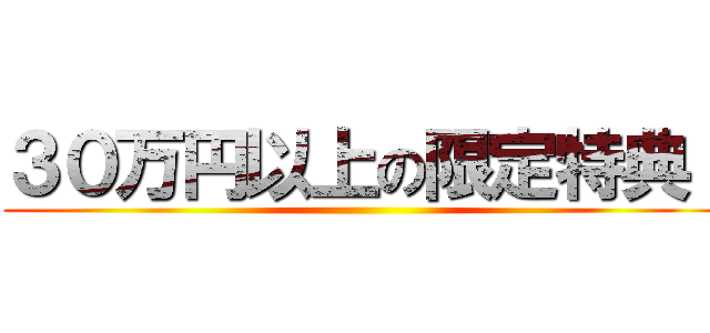 ３０万円以上の限定特典！ ()