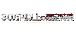 ３０万円以上の限定特典！ ()