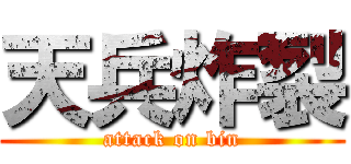 天兵炸裂 (attack on bin)