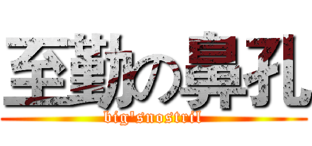 至勤の鼻孔 (big'snostril)