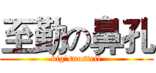 至勤の鼻孔 (big'snostril)