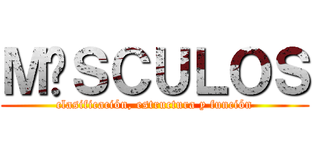 ＭÚＳＣＵＬＯＳ (clasificación, estructura y función)
