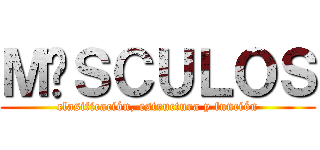 ＭÚＳＣＵＬＯＳ (clasificación, estructura y función)