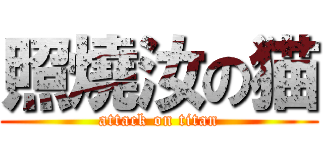 照燒汝の猫 (attack on titan)