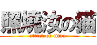 照燒汝の猫 (attack on titan)