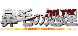 鼻毛の処理 (blaze\'s arrow)