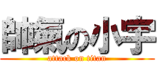 帥氣の小宇 (attack on titan)