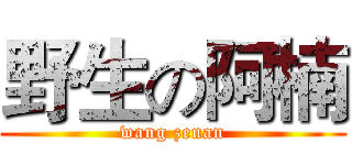 野生の阿楠 (wang zenan)