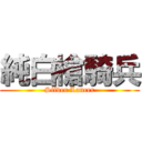 純白槍騎兵 (Silver Lancer)