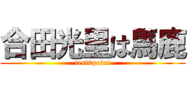 合田光里は馬鹿 (test0point)