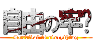 自由の牢笼 (Survival is everything)