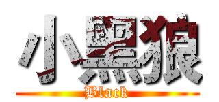 小黑狼 (Black)