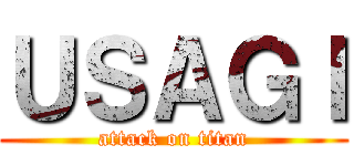 ＵＳＡＧＩ (attack on titan)