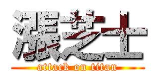 漲芝士 (attack on titan)