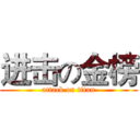进击の金榜 (attack on titan)