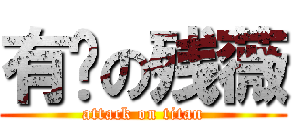 有爱の残薇 (attack on titan)