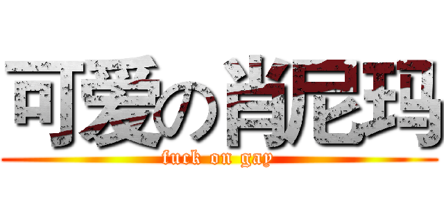 可爱の肖尼玛 (fuck on gay)