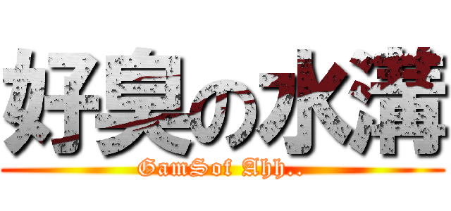 好臭の水溝 (GamSof Ahh..)