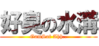 好臭の水溝 (GamSof Ahh..)