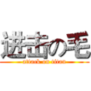 进击の毛 (attack on titan)