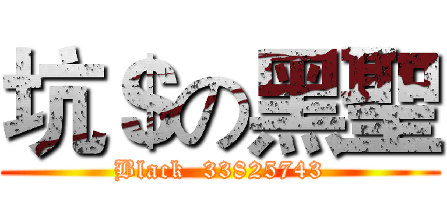坑＄の黑聖 (Black  33825743)