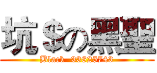 坑＄の黑聖 (Black  33825743)